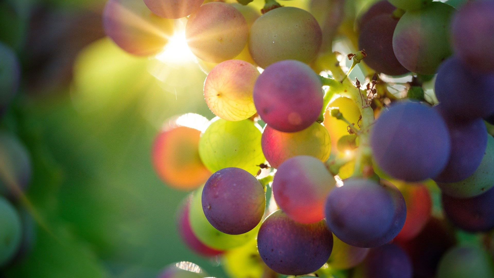 about brand background image